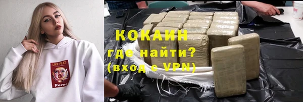 индика Балабаново