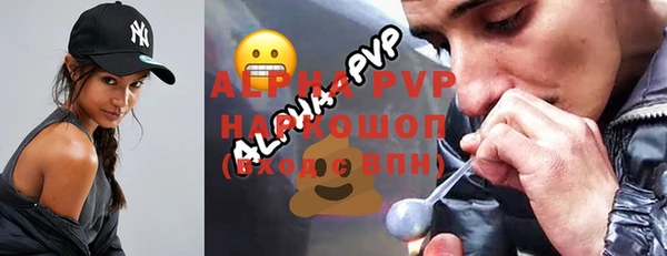 индика Балабаново