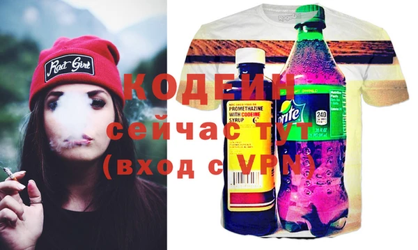индика Балабаново