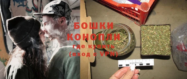 индика Балабаново