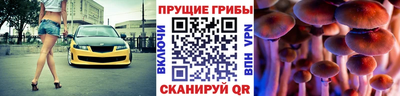 Галлюциногенные грибы ЛСД  закладки  ссылка на мегу tor  Болхов 