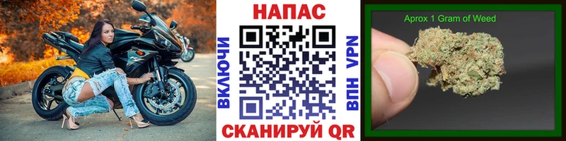 KRAKEN ССЫЛКА  Болхов  Бошки марихуана ГИДРОПОН 